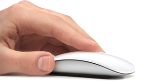 Mouse
