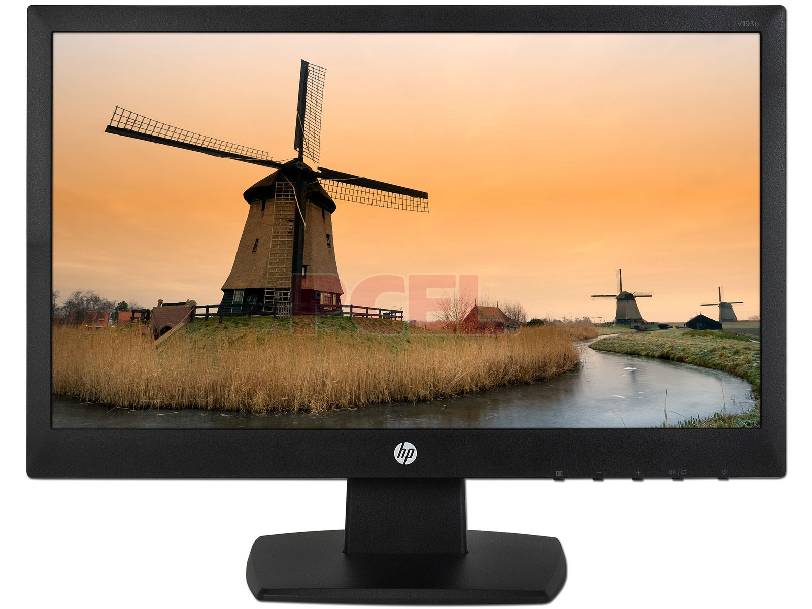 Monitor HP S1933 pantalla ancha de 18,5 