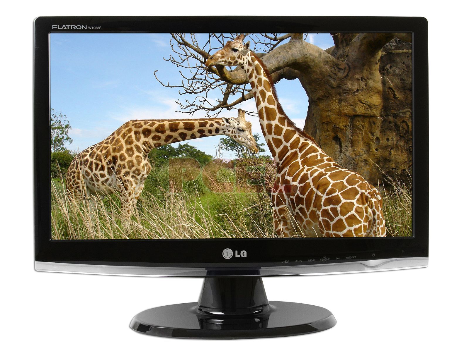 Lg flatron w2043se. W1953. LG Flatron 4:3 1280x1024.