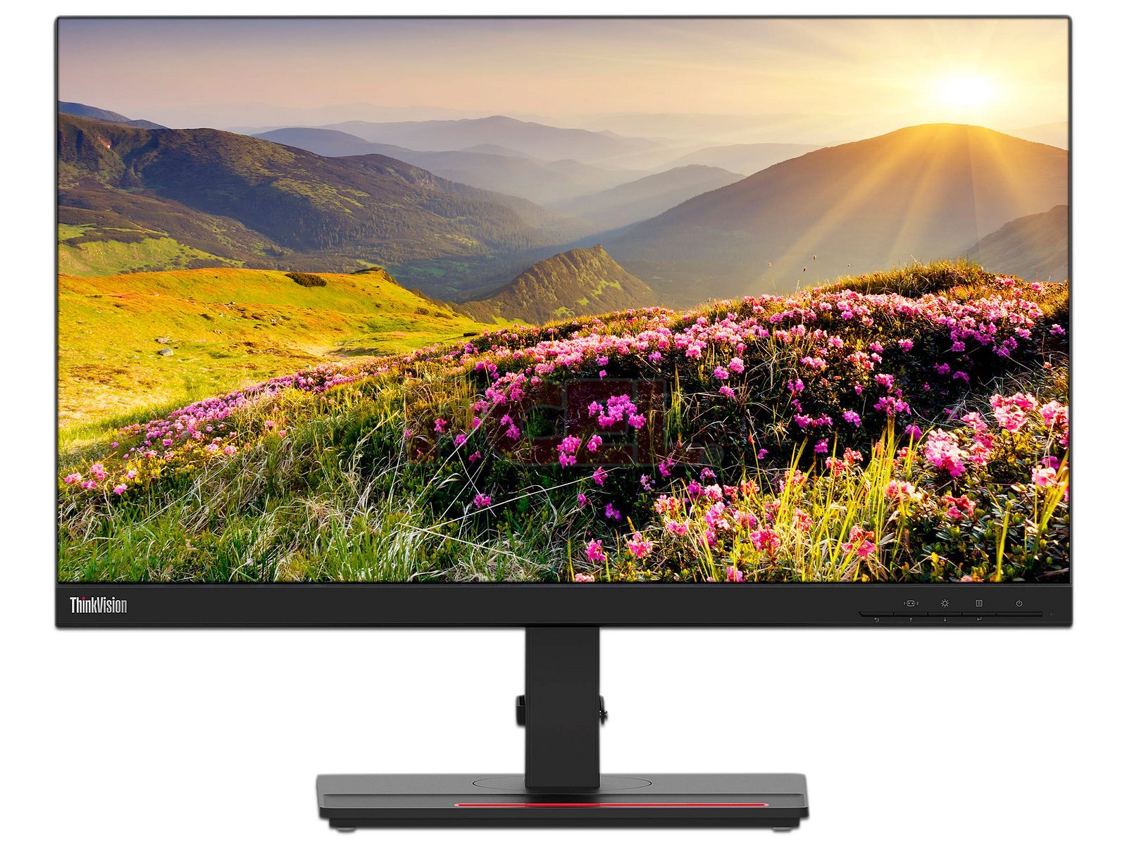 Electronica-Monitores-Lenovo-