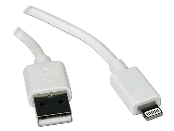 Cable USB de Sincronización / Carga con Conector Lightning, Blanco de 1.83 m.