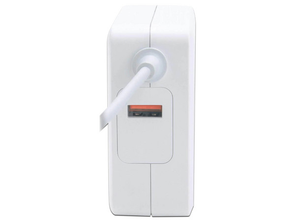 Cargador de energía USB Tipo C Manhattan 180245, 60W, . Color Blanco.