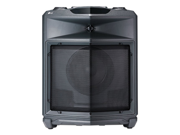 Bocina Amplificada LG FJ3 de 50 W RMS Reproductor de Audio MP3 con Lector de Memorias USB, SD, Bluetooth.