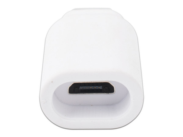 Adaptador Ezviz EZ-ADAP-USBC de Conector USB-C a Micro USB para panel solar CS-CMT-SOLARPANEL-C. Color Blanco.