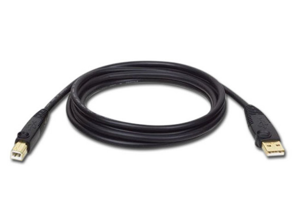 Cable Tripplite USB 2.0 A macho / B macho de 3.05m.