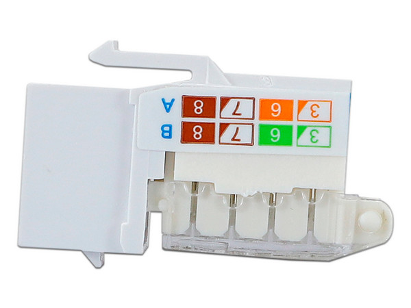 Conector RJ45 Categoria 6, Vertical, Color Blanco.