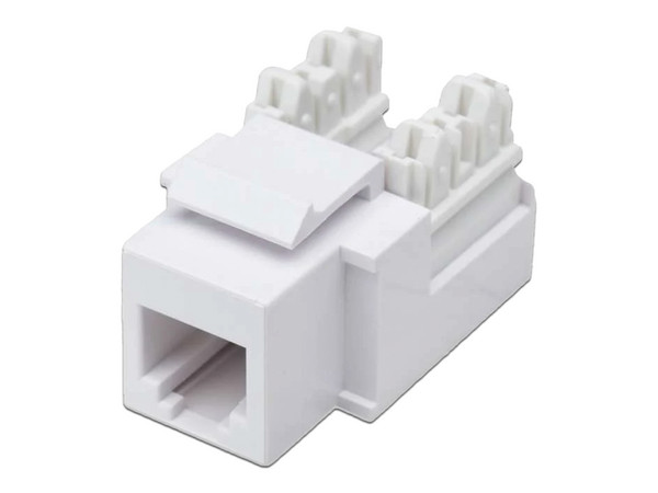 Jack de impacto Intelinet para telefonía. Color blanco.