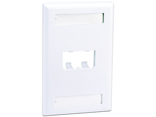 Placa de Pared Panduit de 2 Puertos UTP, ABS, Color Blanco