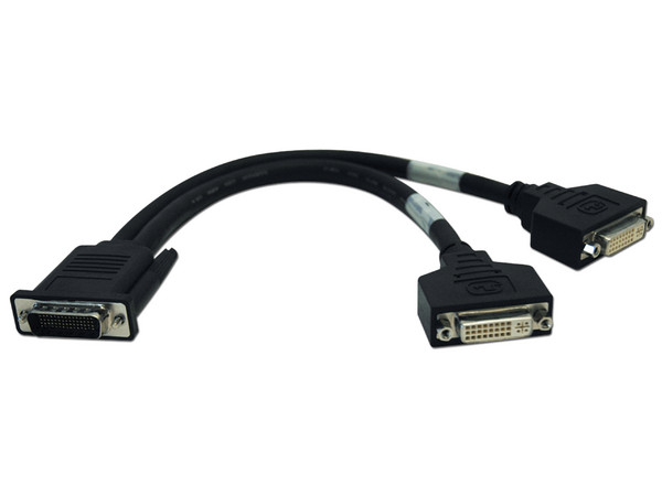 Cable TrippLite Divisor en Y de DMS-59 a DVI Doble Hembra de 30.48 cm