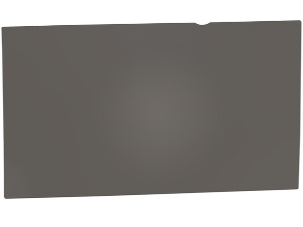 Filtro de Privacidad para Monitor de 24