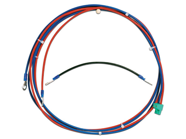 Cables Bosch CBB-0000-A para Batería BCM?0000?B.