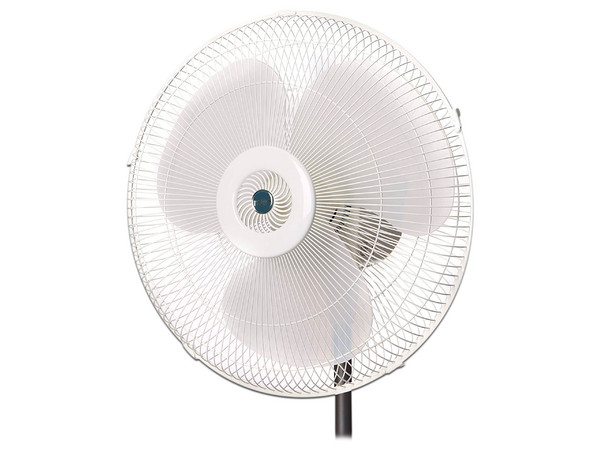 Ventilador de Pedestal Man VPB-1016 de 16