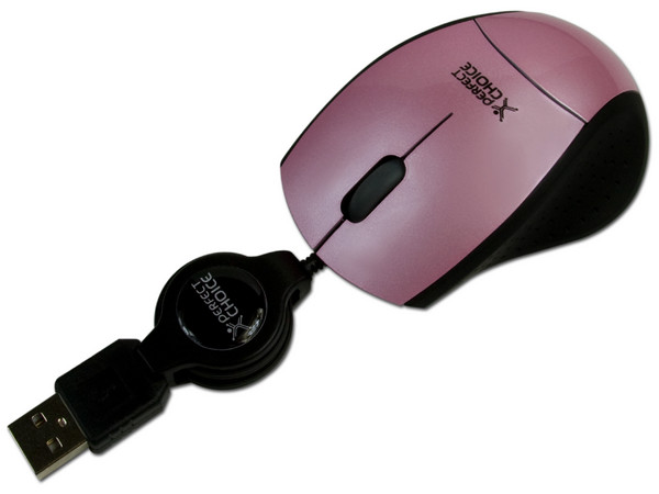 Netpack de Portafolio y Mouse Perfectchoice para Netbook de 10