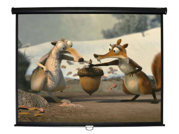 Pantalla para proyector de 80