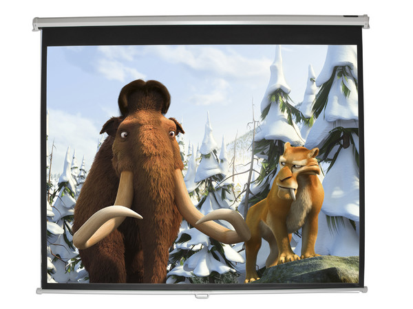 Pantalla para proyector de 80