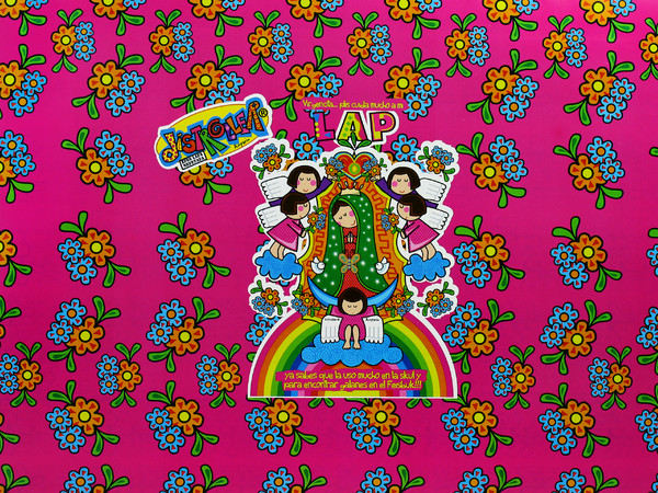 Skin TechZone Virgencita para Laptop Widescreen de 10.2