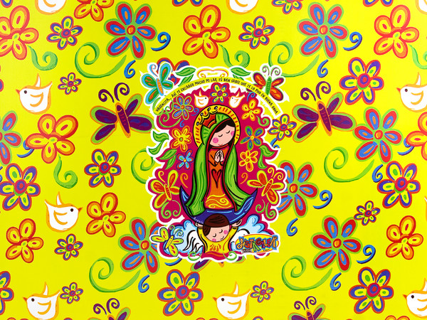 Skin TechZone Virgencita para Laptop Widescreen de 10.2
