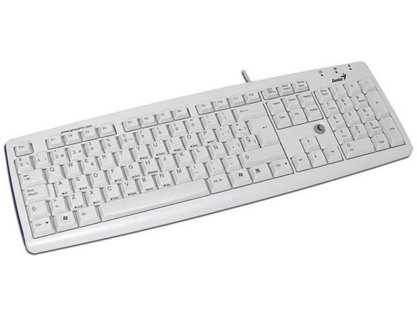 Teclado Genius KB-06XE en Español, PS/2, Color Gris