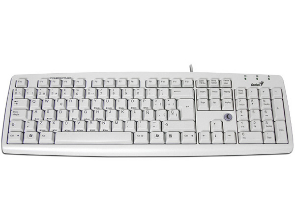 Teclado Genius KB-06XE en Español, PS/2, Color Gris