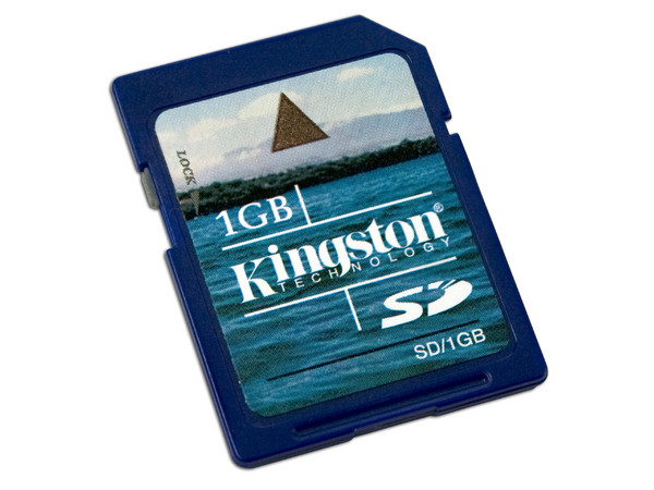 Memoria Kingston Secure Digital (SD) de 1GB