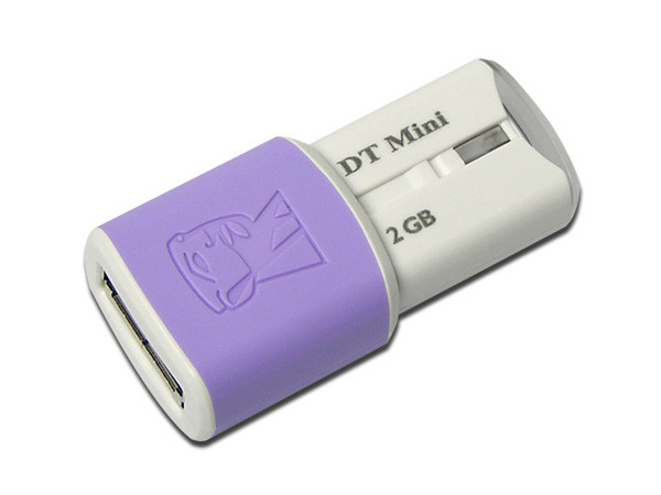  Unidad Flash USB 2.0 Kingston Data Traveler Mini–Migo Edition de 2 GB.