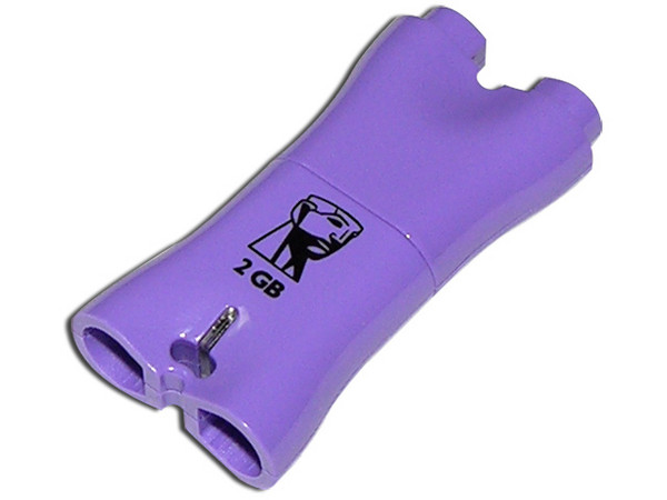 Unidad Flash USB 2.0 Kingston DataTraveler Mini Fun con Juegos, 2 GB