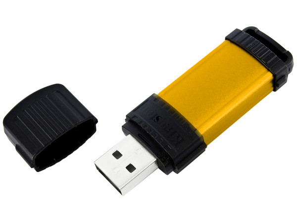 Unidad Flash USB 2.0 Kingston DataTraveler SE1 de 8GB. Color dorada