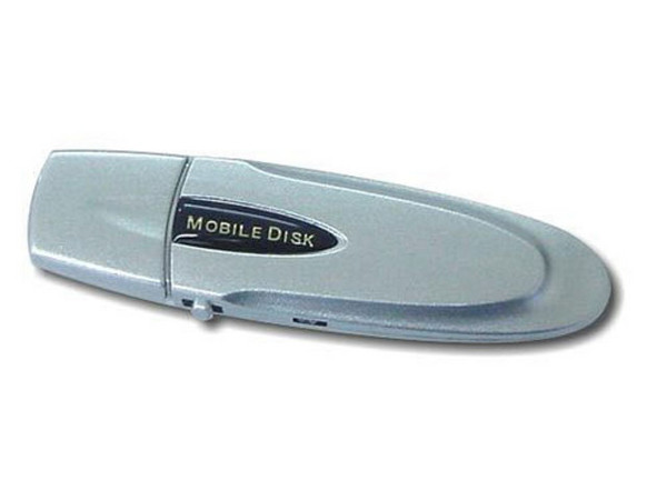 USB Flash Drive de 256MB.