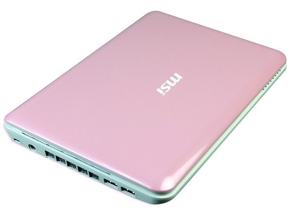 Netbook MSI Wind U100:
Procesador Intel Atom N270 (1.60 GHz),
Memoria de 1GB DDR II, Disco Duro 160GB,
Pantalla de 10