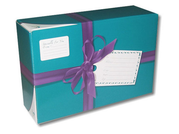 Paquete de 2 Video Camaras Logitech QuickCam Messenger