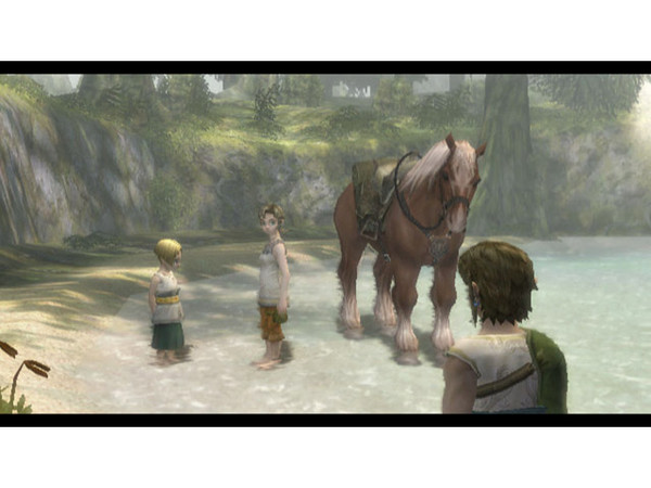 Legend of Zelda: Twilight Princess (Nintendo Wii)