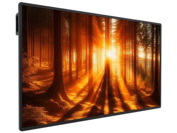 Monitor de Señalización Interactivo BenQ IL5501 de 55