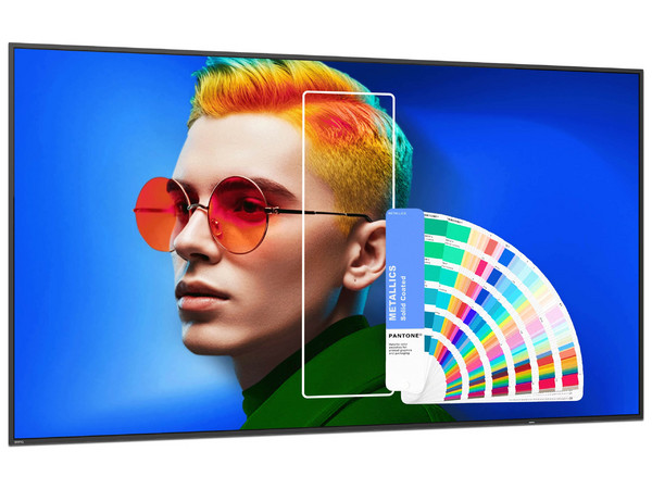 Monitor de Señalización BenQ SL6504 de 65