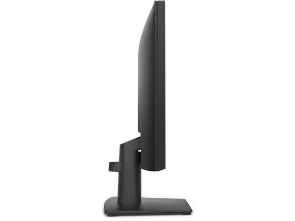 Monitor DELL Pro de 19.5