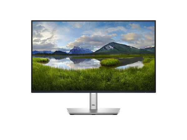 Monitor DELL P2425H de 23.8