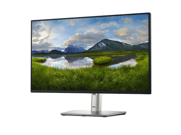 Monitor DELL P2425H de 23.8