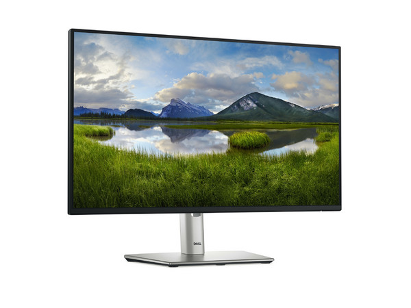 Monitor DELL P2425H de 23.8