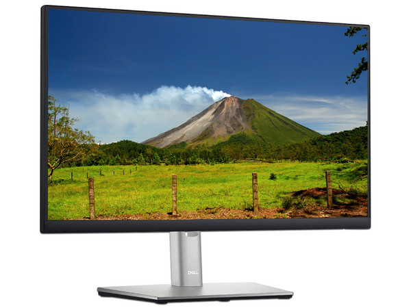 Monitor LED DELL P2222H de 21.5