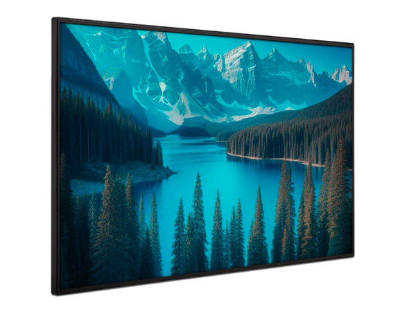 Monitor de Señalización LG 55UM5N de 55