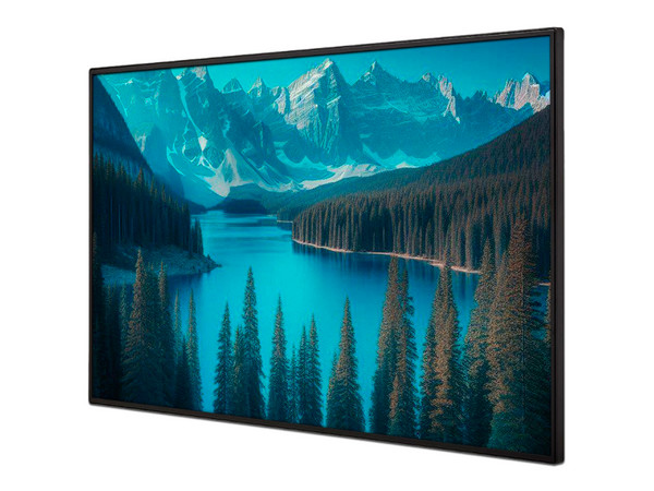 Monitor de Señalización LG 55UM5N de 55