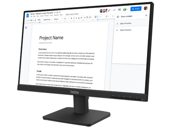 Monitor LED Lenovo ThinkVision S22 de 21.5