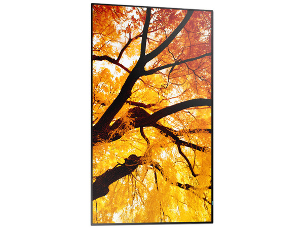 Monitor LED Sharp PN-M432 de 43