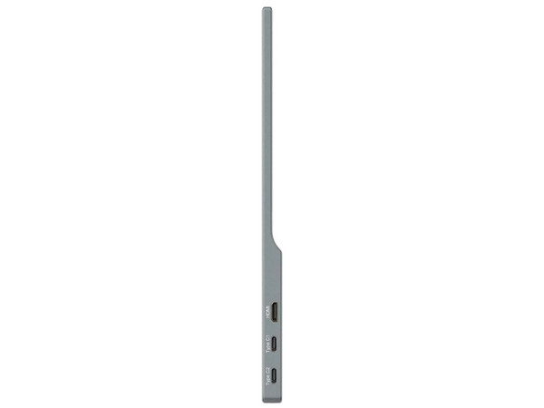 Monitor Steren 15.6