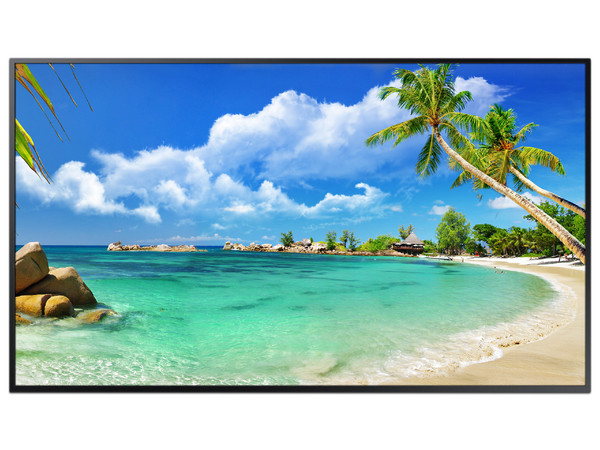 Monitor LED Samsung QBB Stand Alone de 43