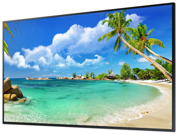 Monitor de señalización LED Samsung Signage QM43R de 43