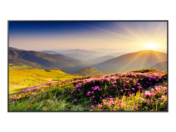 Monitor de Señalización Samsung Crystal UHD QMC de 43