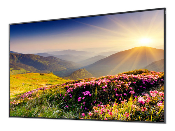 Monitor de Señalización Samsung Crystal UHD QMC de 43