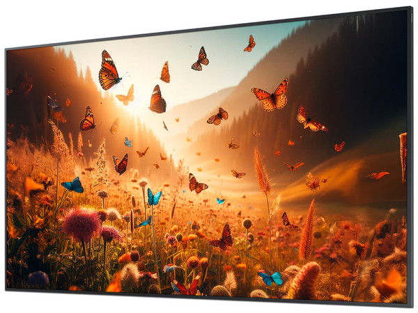 Pantalla Comercial Samsung QBC de 50