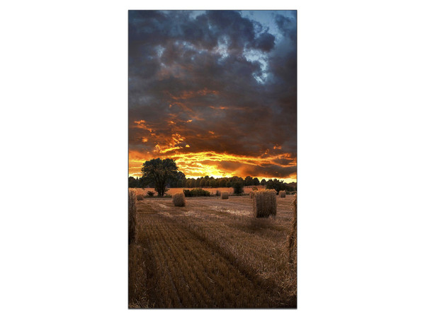 Pantalla para Videowall LED Samsung Smart Signage L de 55