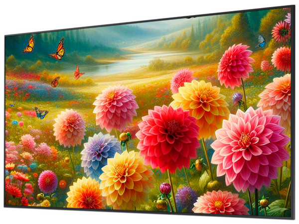 Pantalla Profesional LED Samsung QM55C de 55